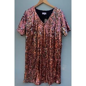 COPY - NEW Universal Standard J Crew Sequin Dress. Tag says M but fits like a L…
